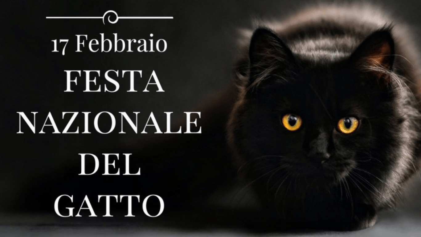 17 NOVEMBRE: GIORNATA DEDICATA AL GATTO NERO