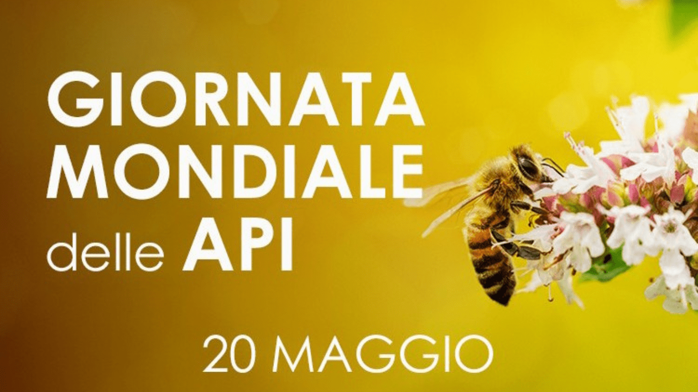 GIORNATA MONDIALE DELLE API