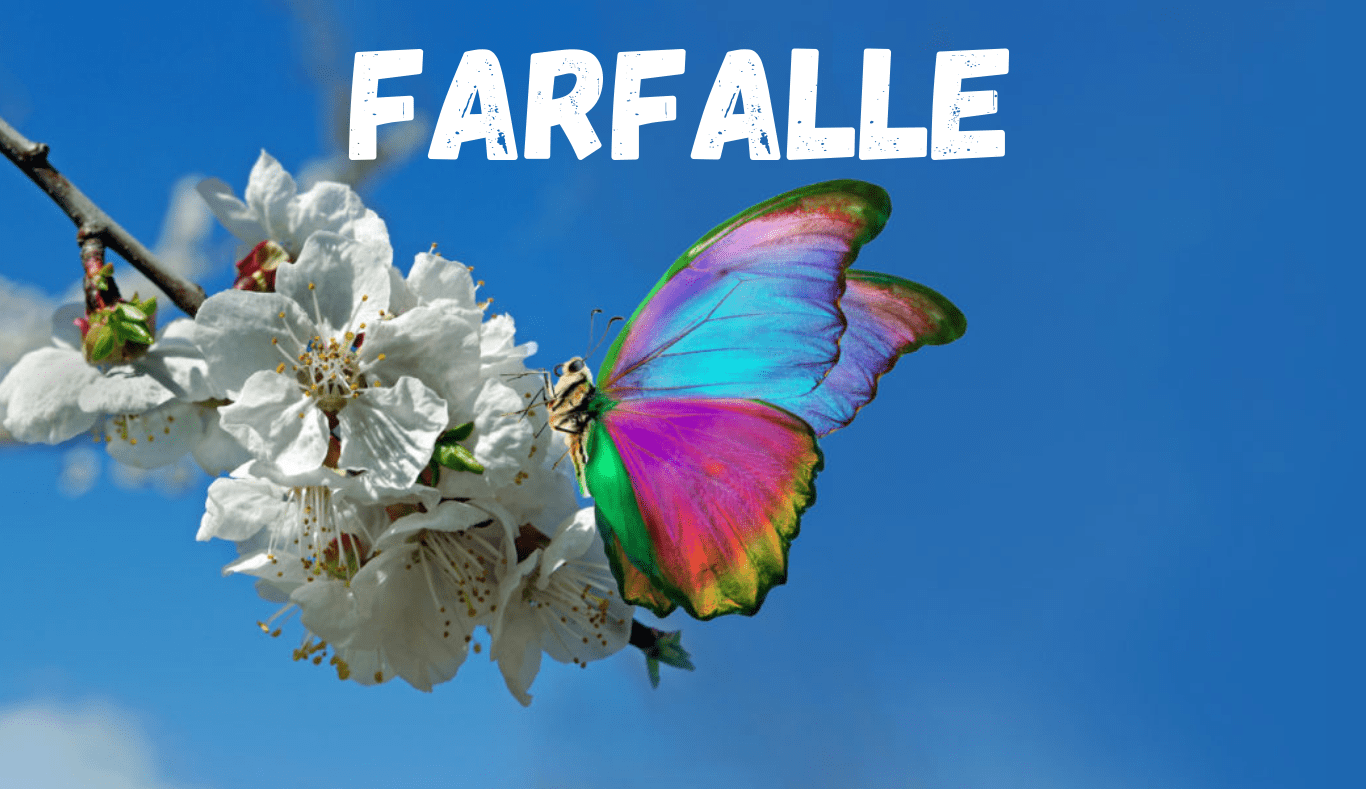 FARFALLE